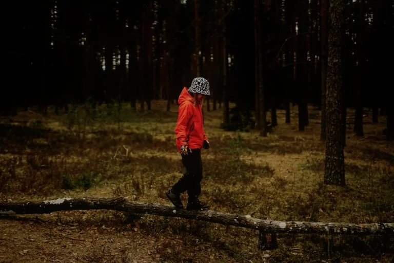 Droša sēņošana Latvijā: pārbaude pirms došanās mežā