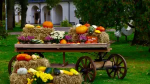 Koka rati ar siena ķīpām, ķirbjiem un dārzeņiem rudens ražas svētku noskaņā Latvijā.