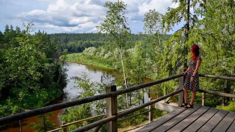 Sieviete uz koka skatu platformas Gaujas nacionālajā parkā, Latvijā.