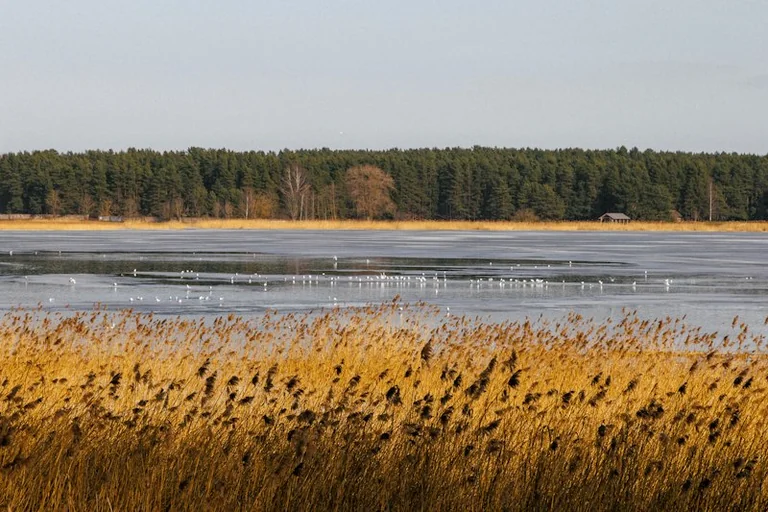 Rīgas pirmais rudens sals: vai gaisa temperatūra līdz 31. oktobrim būs zem nul