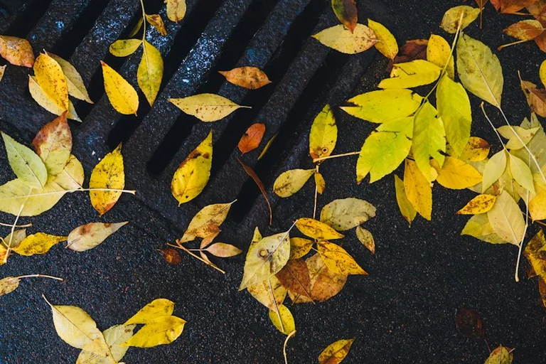 Rudens sākas 22. septembrī: mājas darbi pirms mitrā laika