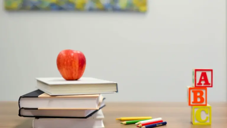 Skola sākas rīt: ģimenes pārbaudes saraksts 31. augustam