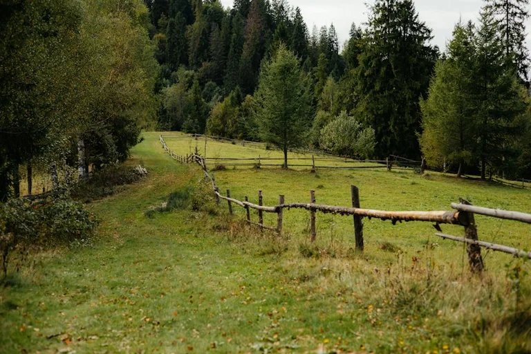 28. oktobra horoskops: mierīgs ritms un skaidras robežas